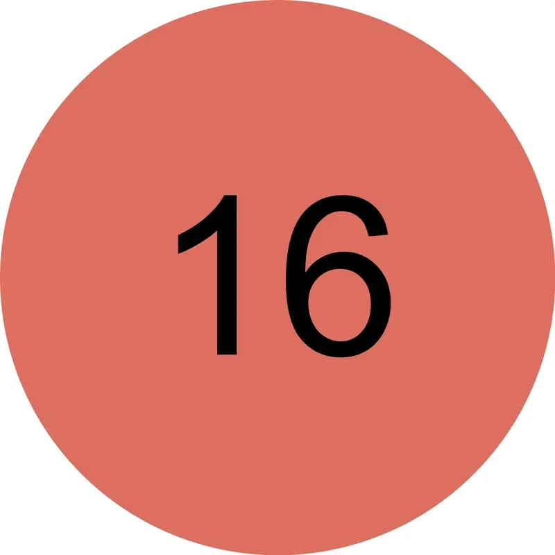 Imagen del producto 16
