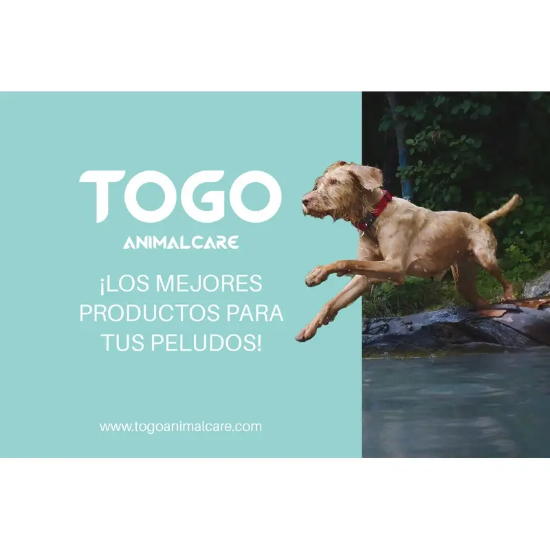 Imagen del producto 6